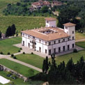 Fattoria le Corti