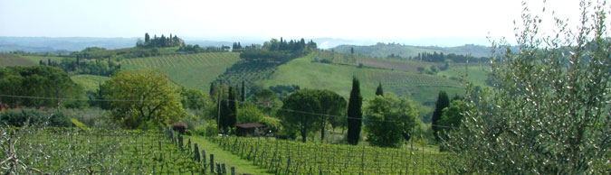 Cooking courses in Tuscany, Italy